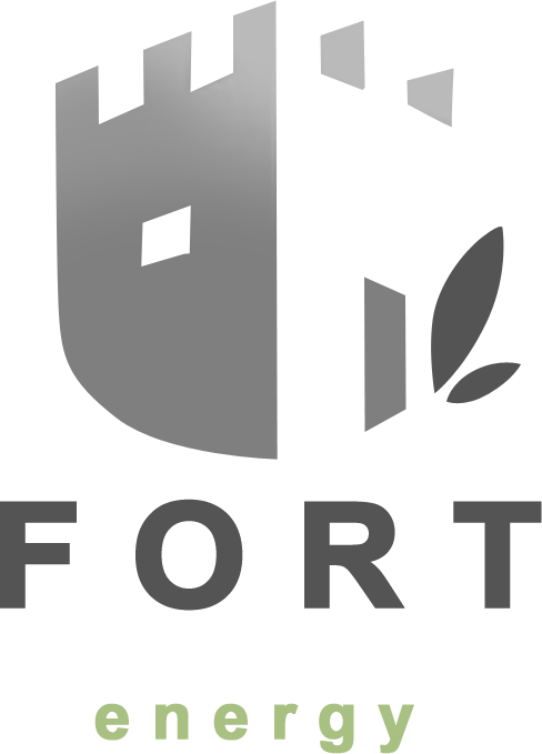 Fort Energy Ltd